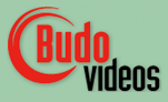 logo-budovideos